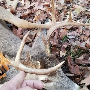 Meet your Posher, Barry